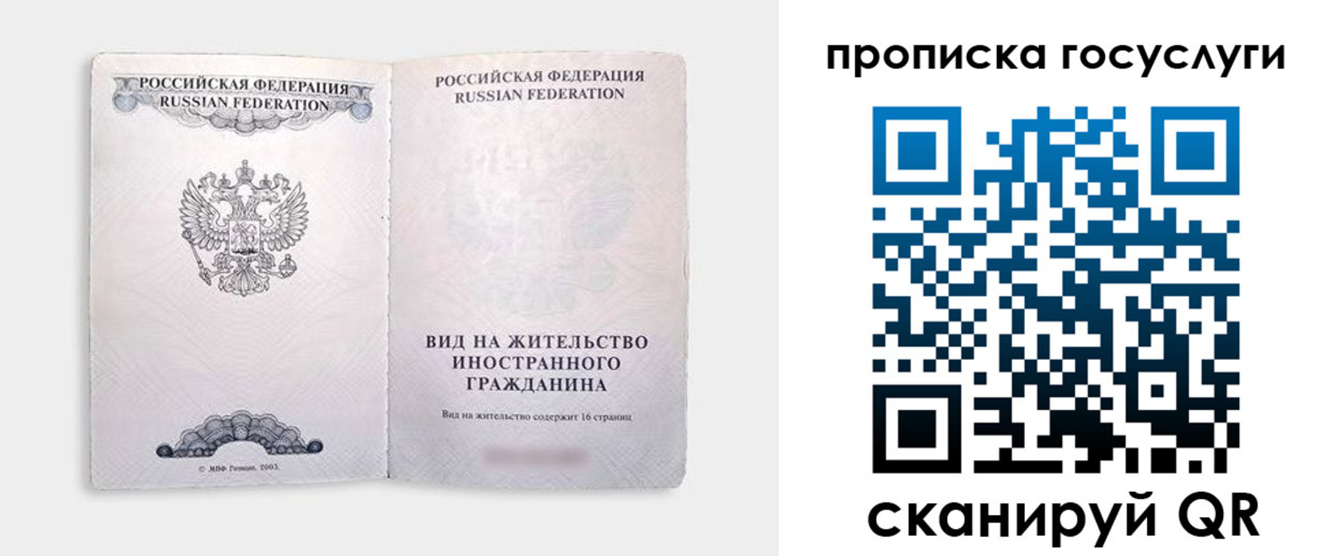 прописка поиск в Коле